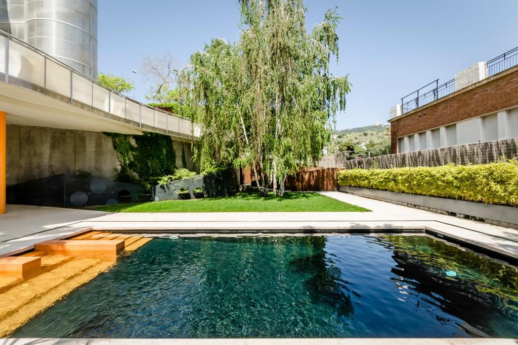 Ikonik Anglí - Resim 12