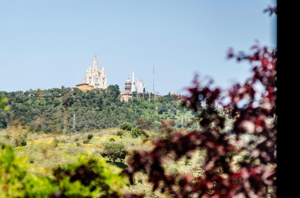 Ikonik Anglí - Resim 13