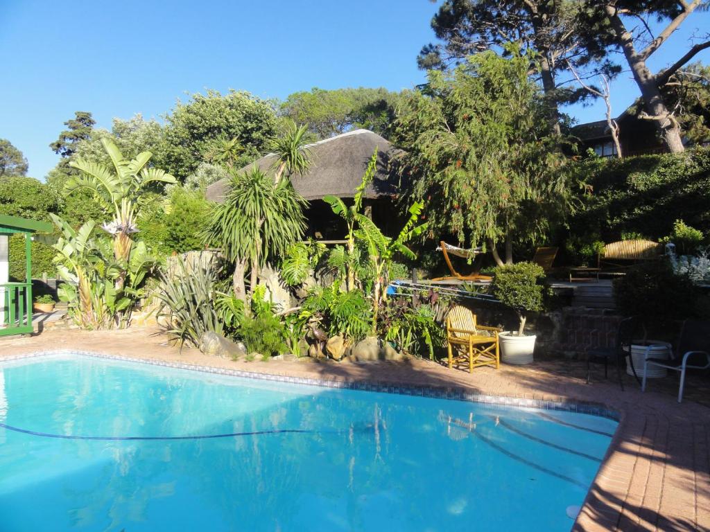a swimming pool in front of a house at Birdsnest Guest Accommodation in Hout Bay