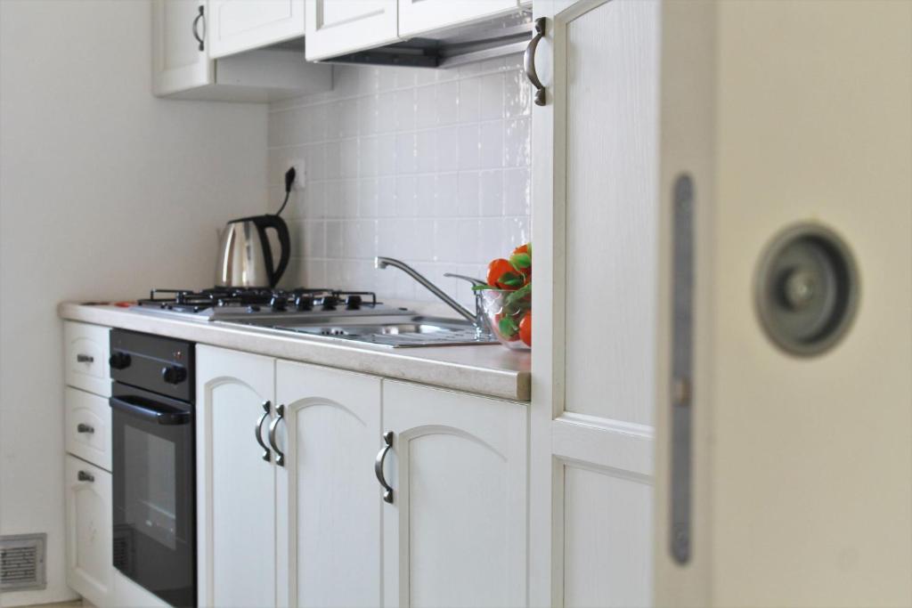 Kuchyň nebo kuchyňský kout v ubytování AHR Leonis Residence La Maddalena