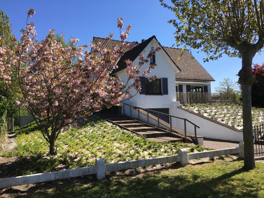 a house with a flowering tree in front of it at Villa Weekend in Nieuwpoort