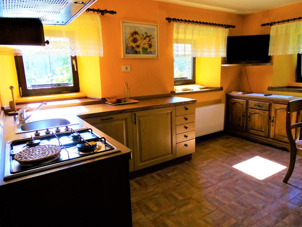 Kuchyň nebo kuchyňský kout v ubytování Apartmaji Pr-Gujlu Sela nad Podmelcem 5220 TOLMIN