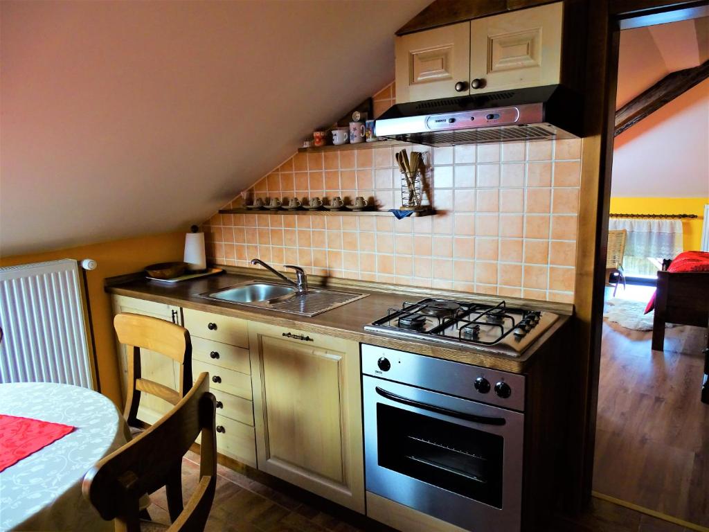 Kuchyň nebo kuchyňský kout v ubytování Apartmaji Pr-Gujlu Sela nad Podmelcem 5220 TOLMIN