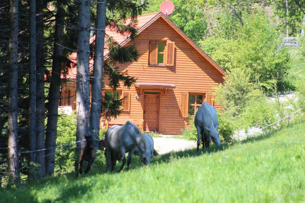 three horses grazing in front of a cabin at Sternen-Chalet in Grassendorf