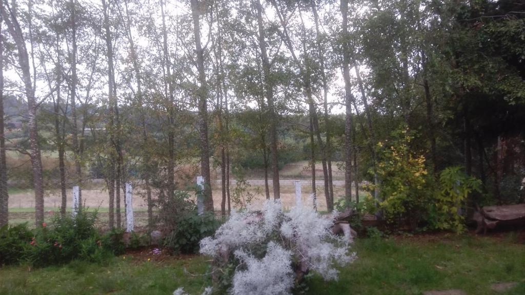 Cabañas Huilipan Gonzalez