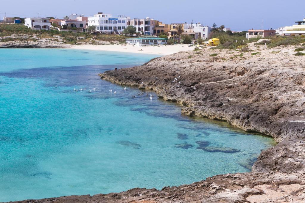 une plage avec un troupeau d'oiseaux dans l'eau dans l'établissement Hotel Giglio, à Lampedusa