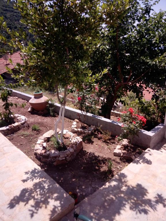 Zahrada ubytování Dimitra's Garden Villa
