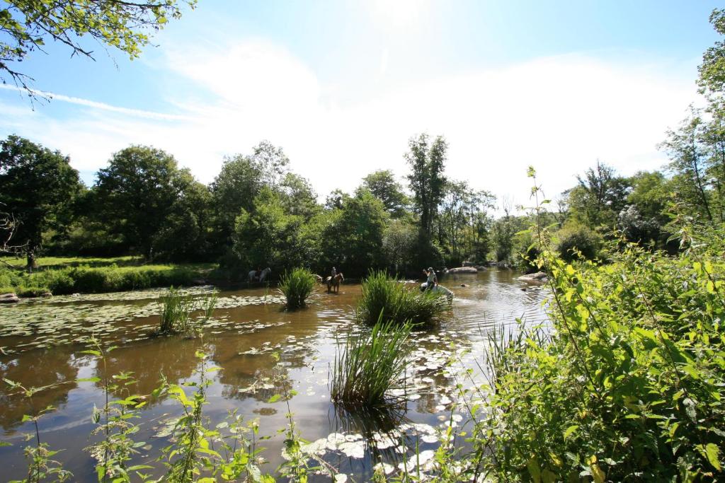 ein Fluss mit Unkraut im Wasser und Bäumen in der Unterkunft Logis de l'Aubonnière in Chaille sous les Ormeaux