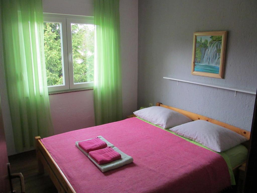 Gallery image of Rooms Danica in Donji Babin Potok