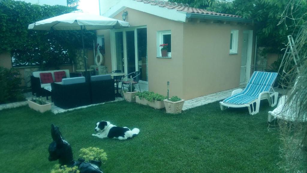 Domácí mazlíčci ubytovaní s hosty v ubytování Villa Dolce Vita