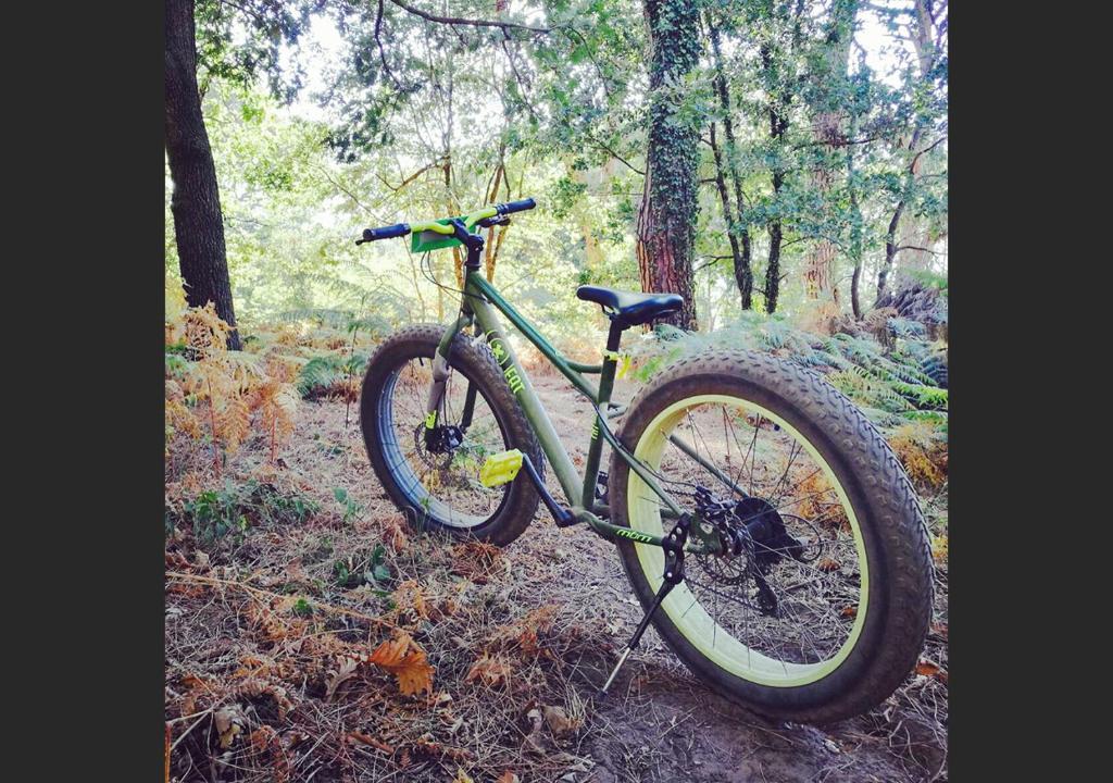 Jazda na bicykli v okolí ubytovania ISOLA VERDE Camping Village