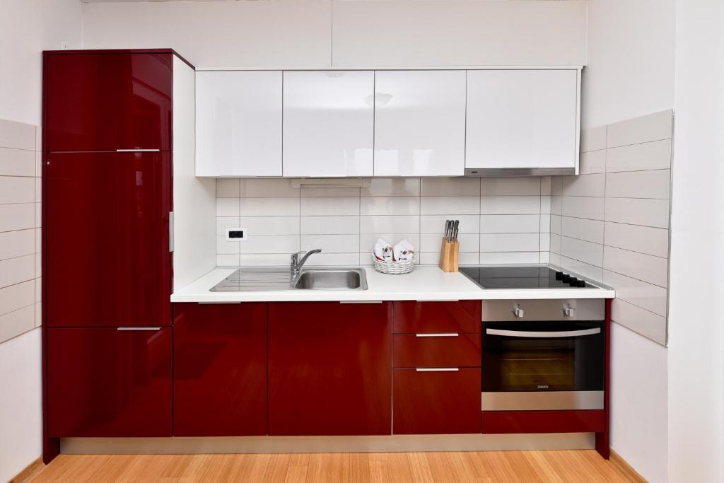 Kuchnia lub aneks kuchenny w obiekcie Apartmani Astrado Petrčane