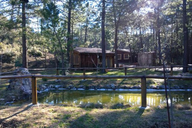 a cabin in the woods with a pond and a fence at Cabaña en pleno parque natural del río mundo in Riópar