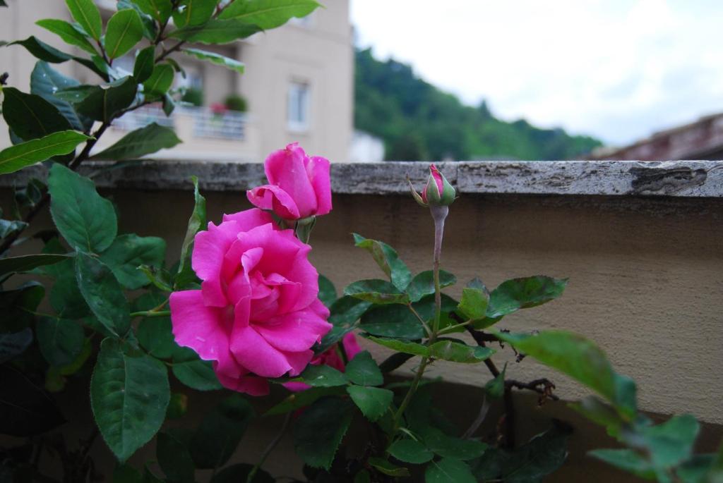 Zdjęcie z galerii obiektu A Casa di Lola w mieście Ascoli Piceno