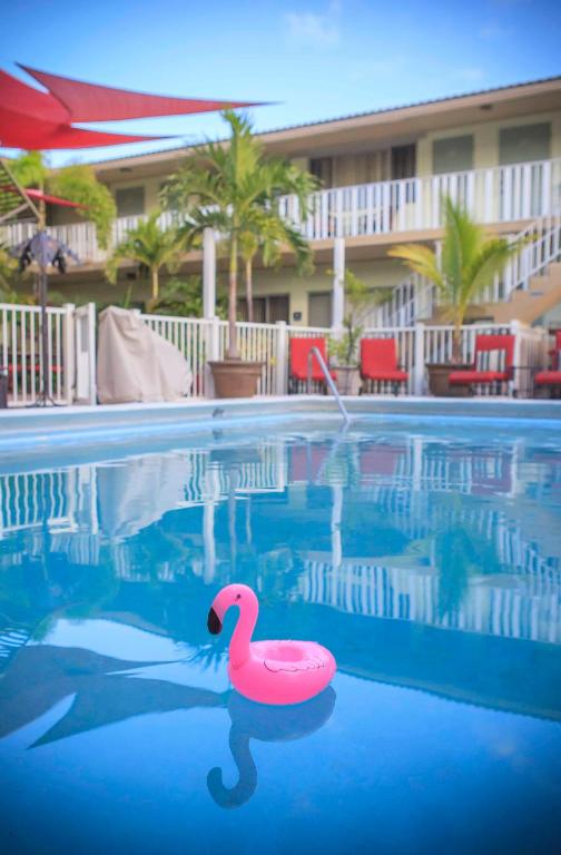 Bazén v ubytování The Big Coconut Guesthouse - Gay Men's Resort nebo v jeho okolí