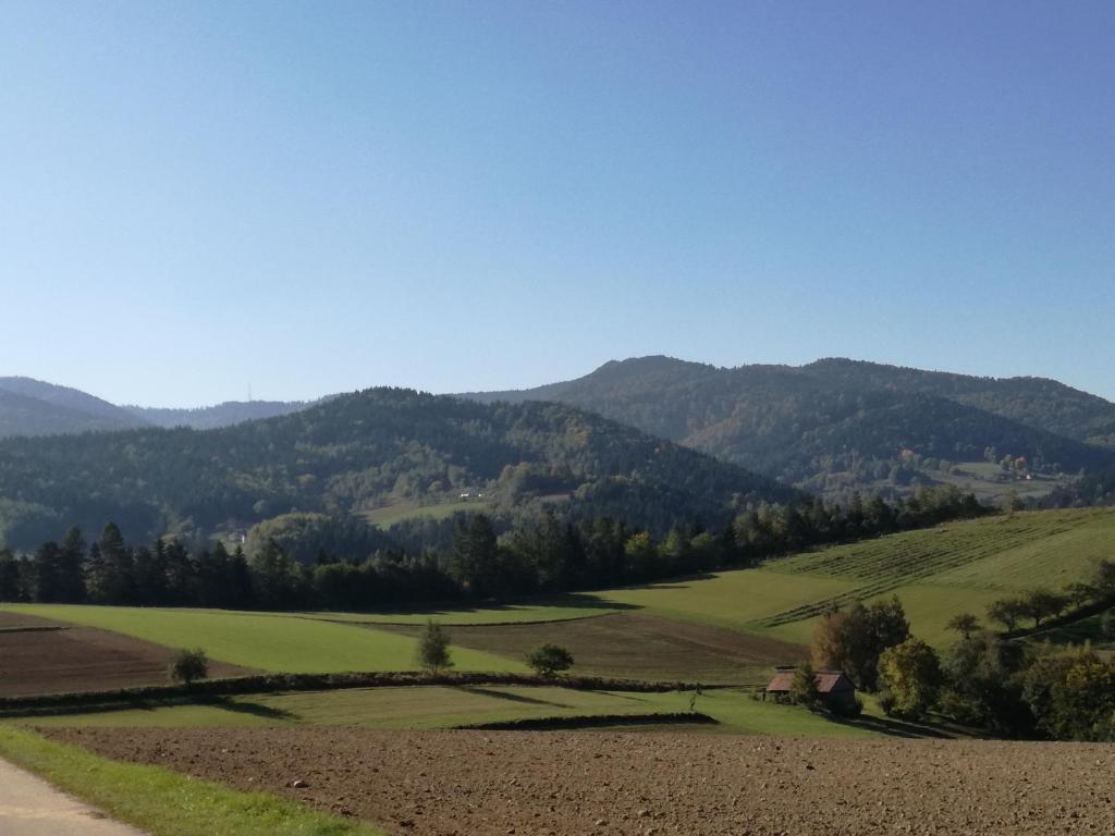 a view of the hills from the farm at Agroturystyka "RYVILLA" in Gaboń