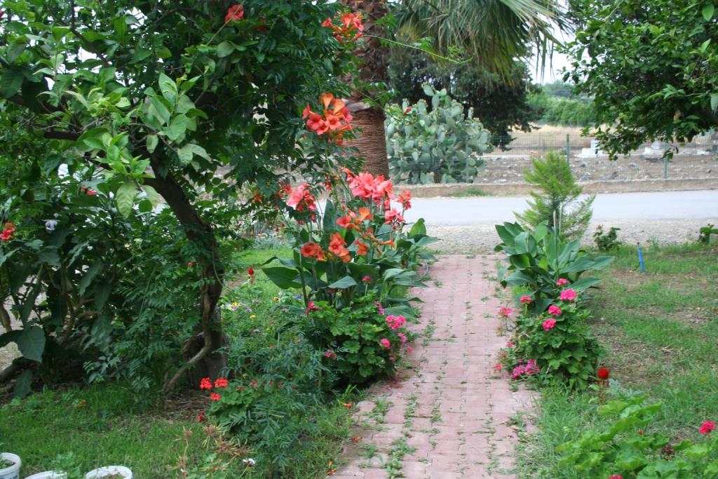 a garden path with flowers and a tree at Naz Apartlari Cirali in Cıralı