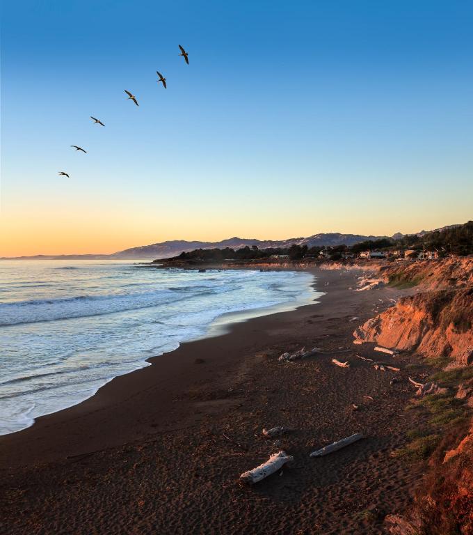 a beach with a flock of birds flying over the ocean at Castle Inn in Cambria