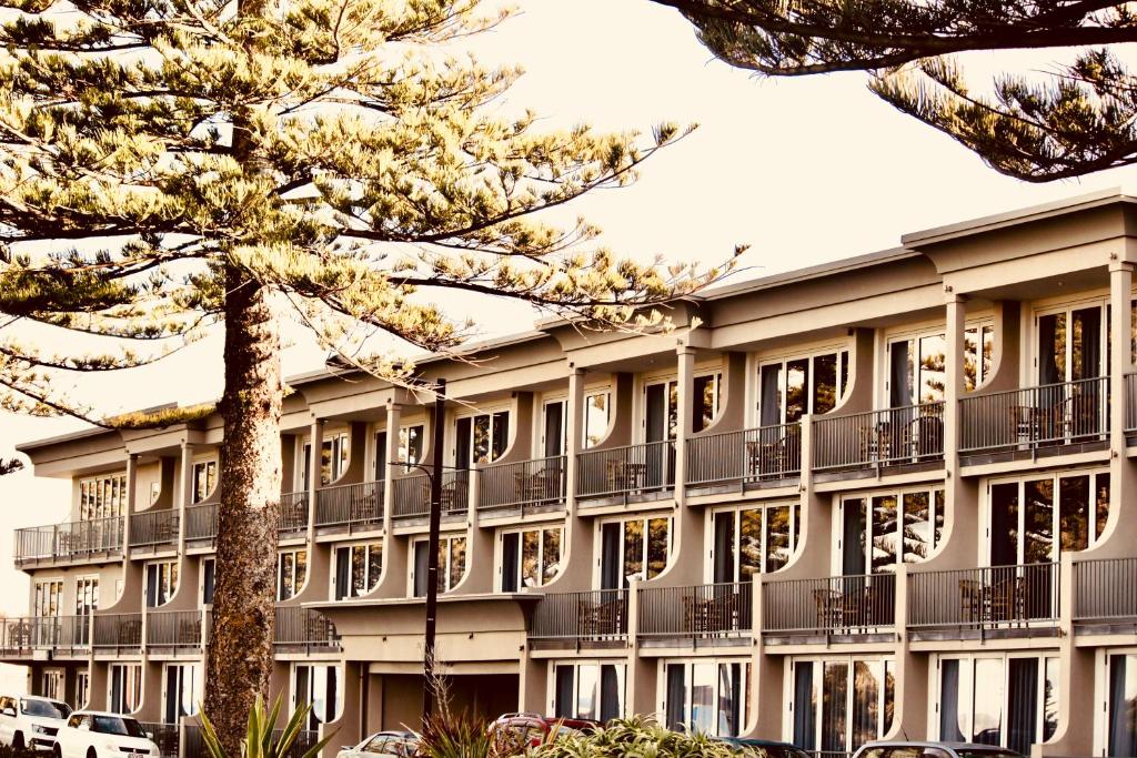 um prédio de apartamentos com uma árvore em frente em The Nautilus em Napier