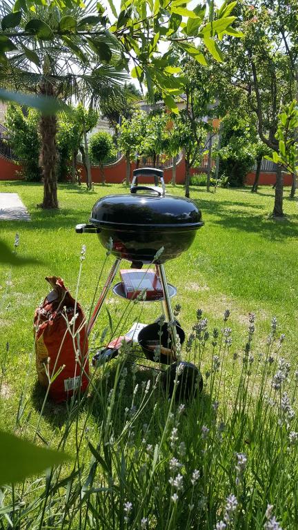 Zahrada ubytování Casa del Vigneto