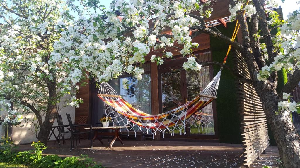 Apple Tree House - Hizvo