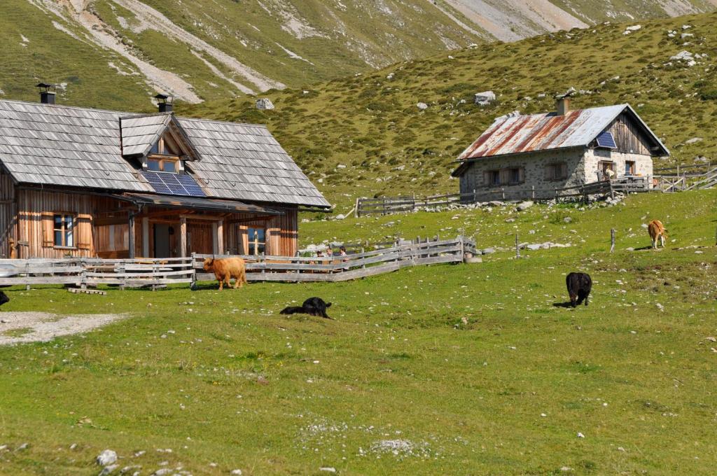 Príroda v okolí apartmánu