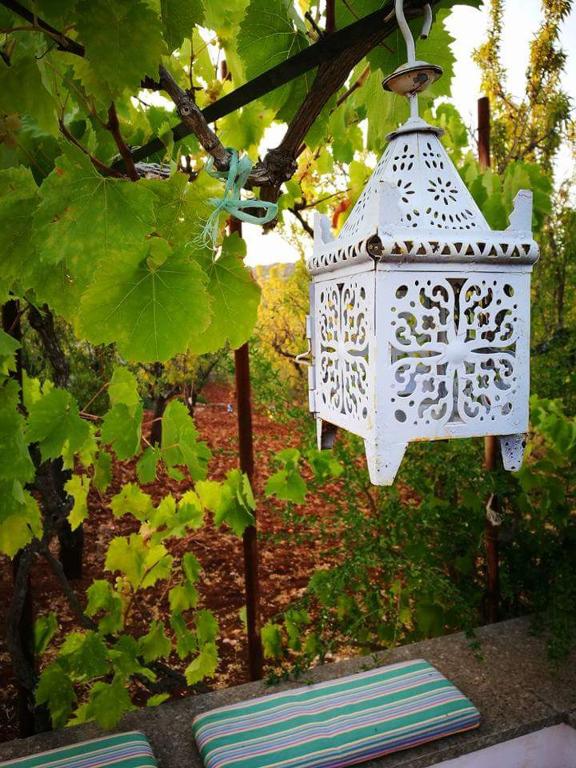Zahrada ubytování Trulli di Ivana