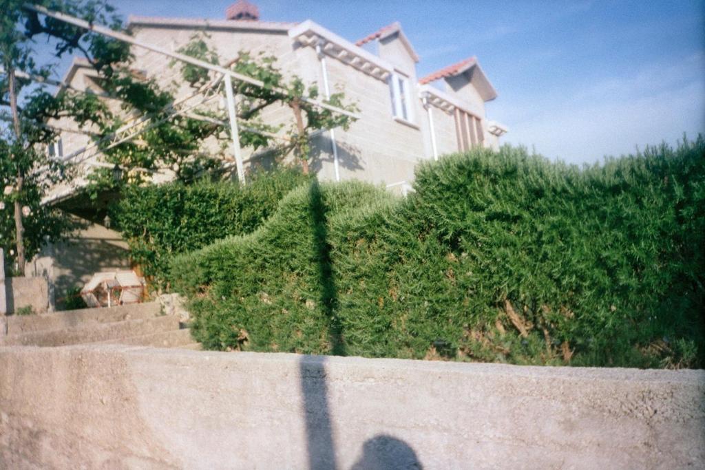 Family House Lise - Housity