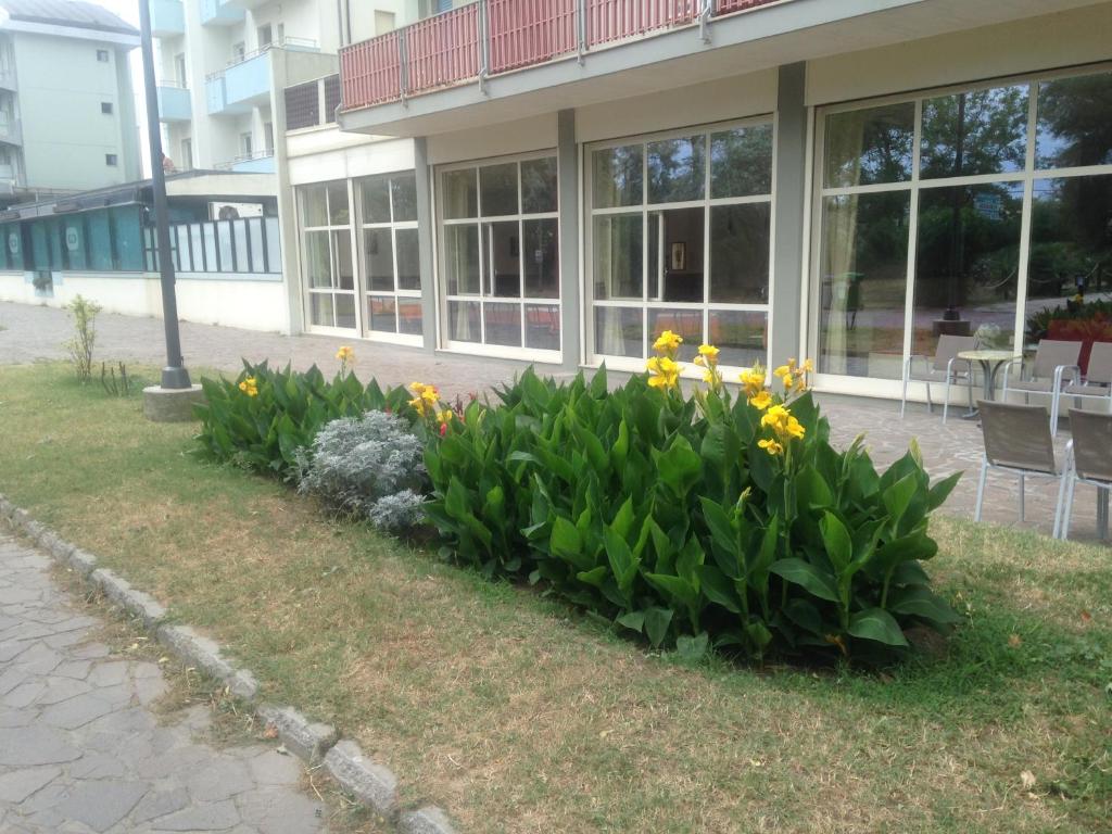 Zahrada ubytování Hotel Antares