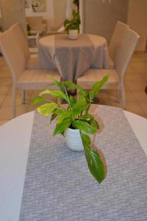 Posezení v ubytování Hotel Smeraldo