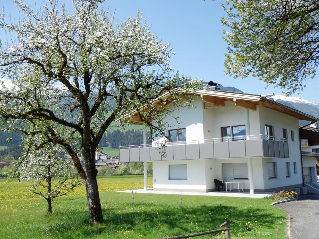 a white house with a tree in front of it at Apart Haun in Stumm