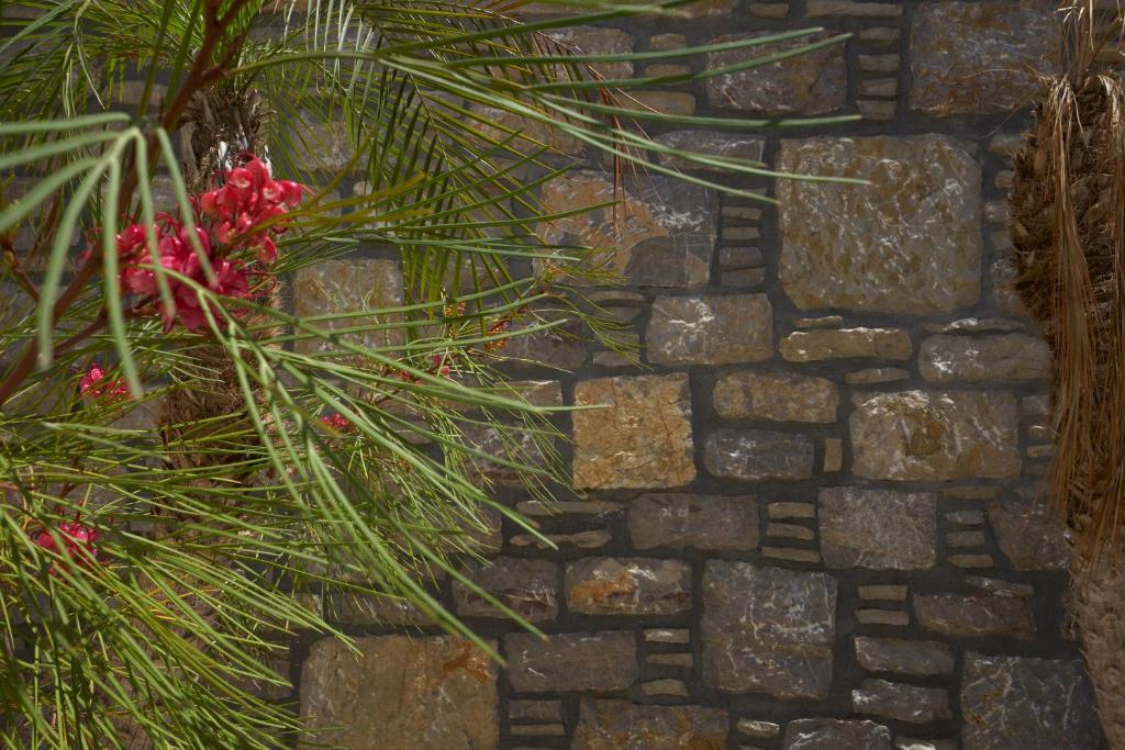 Kaminos Boutique Hotel - 6