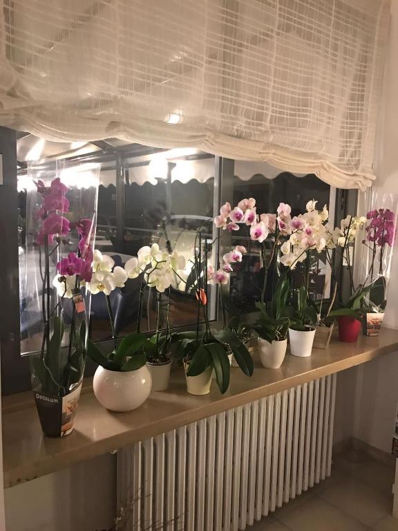 Fotografie z fotogalerie ubytování Hotel Smeraldo v destinaci Brenzone sul Garda