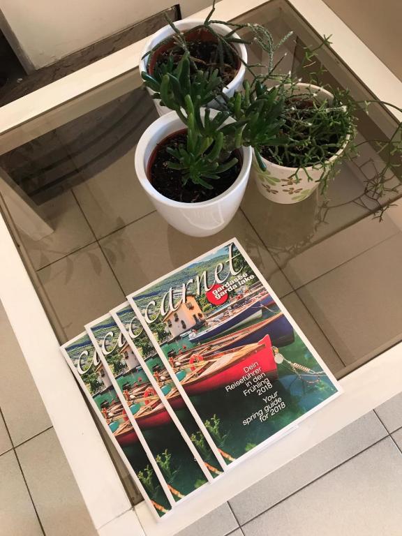 Fotografie z fotogalerie ubytování Hotel Smeraldo v destinaci Brenzone sul Garda