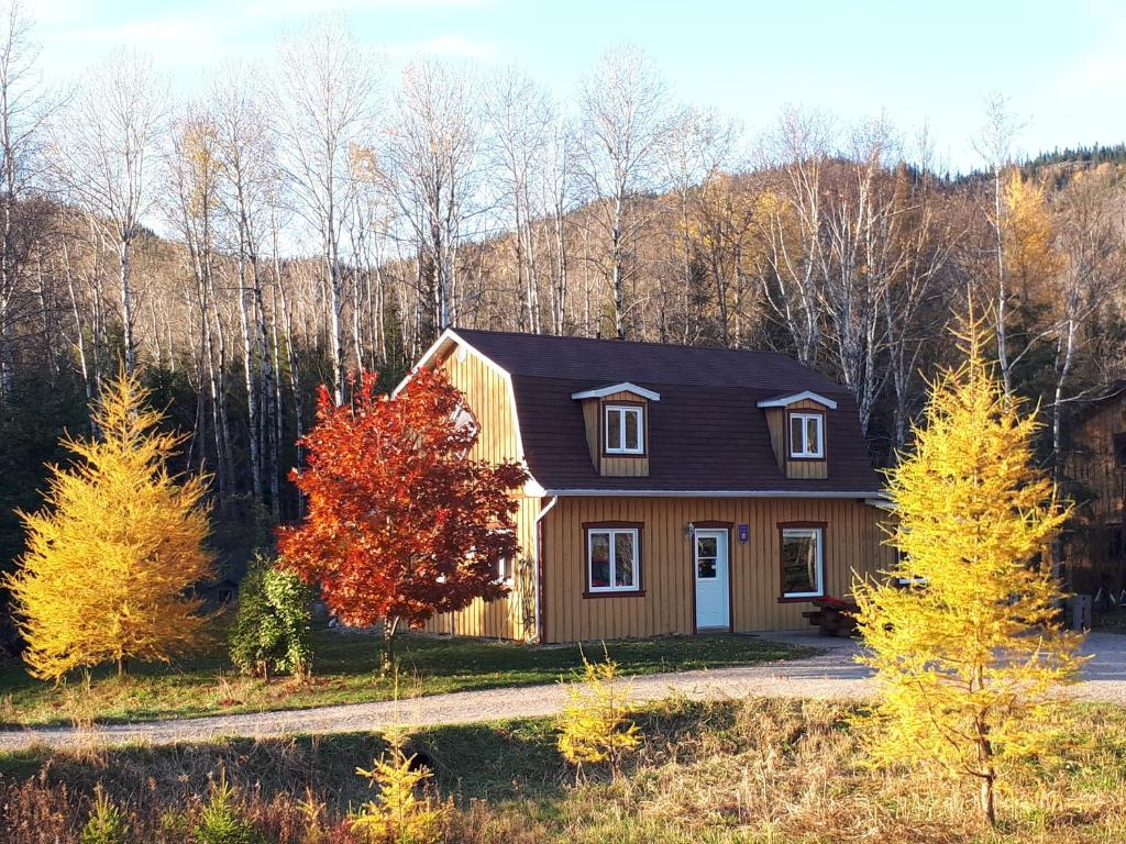 une petite maison au milieu d'une forêt dans l'établissement Grangette Entre Chiens et Loups, à LʼAnse-Saint-Jean