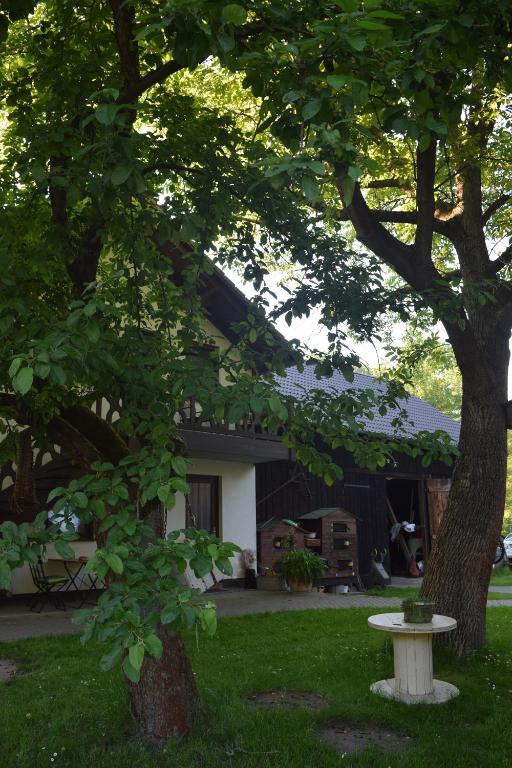 Gästehaus Bohg - 13