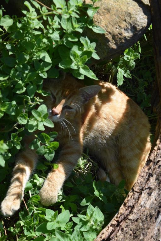 Gästehaus Bohg - 18