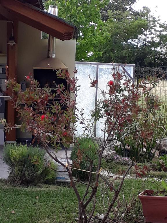 Ogród w obiekcie B&B A CASA DI ZIA LUISA