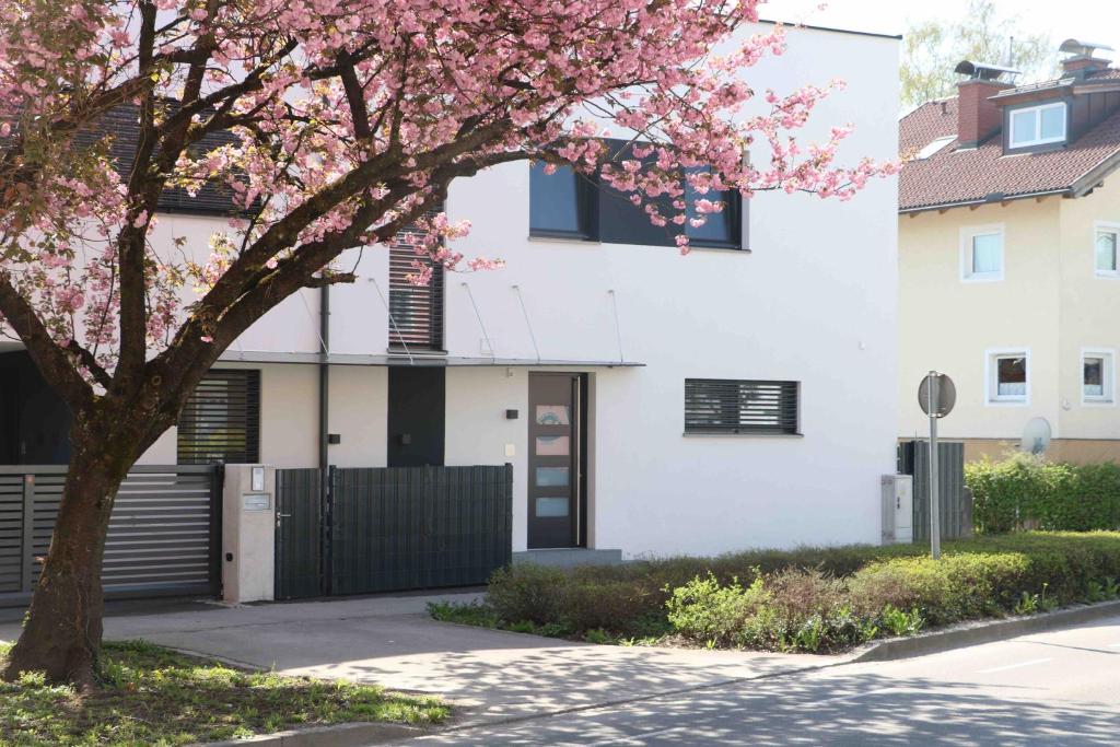 un arbre à fleurs devant un bâtiment blanc dans l'établissement Apartment Bianca, à Salzbourg