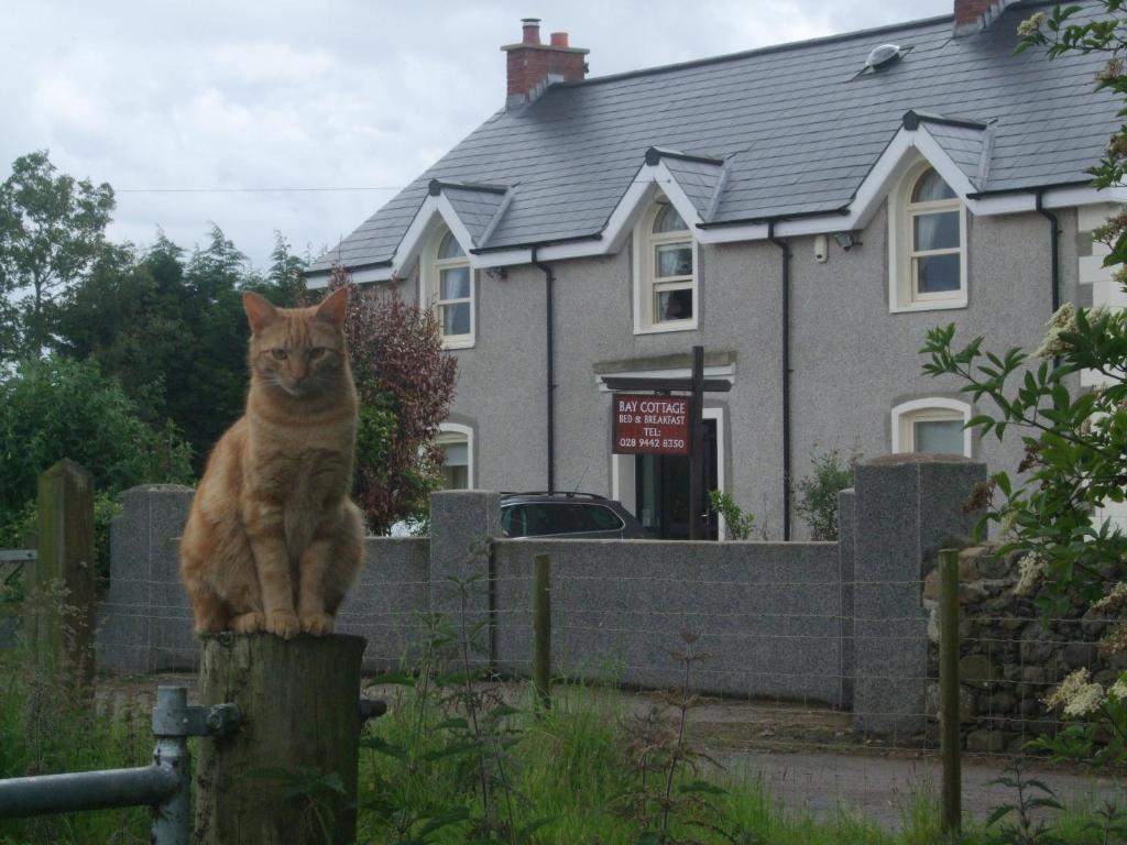 un gatto seduto sopra una postazione di legno di fronte a una casa di Bay Cottage Bed & Breakfast a Crumlin