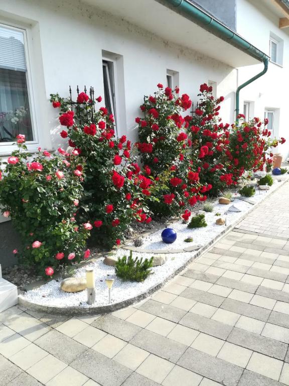 Zahrada ubytování Gästezimmer Resi