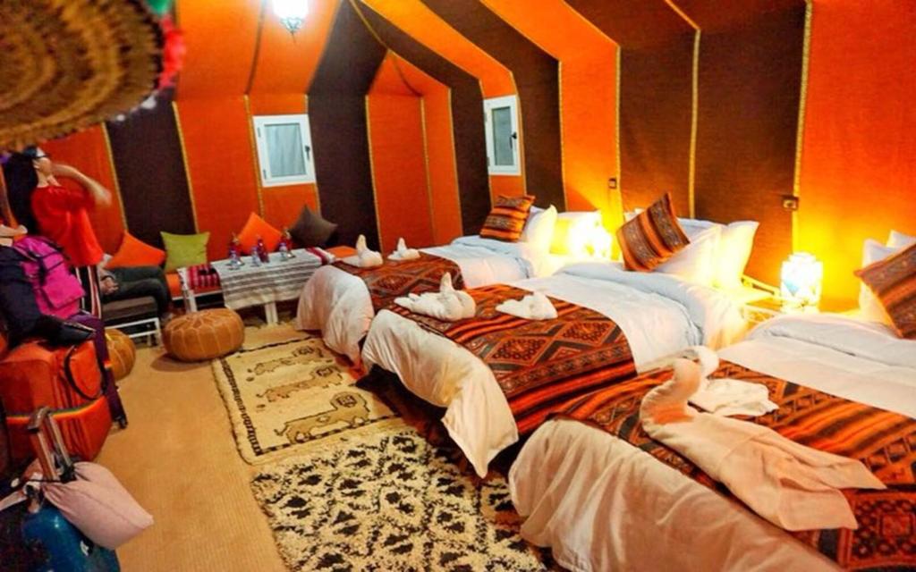 Starry Desert Nights Camp - Carpa