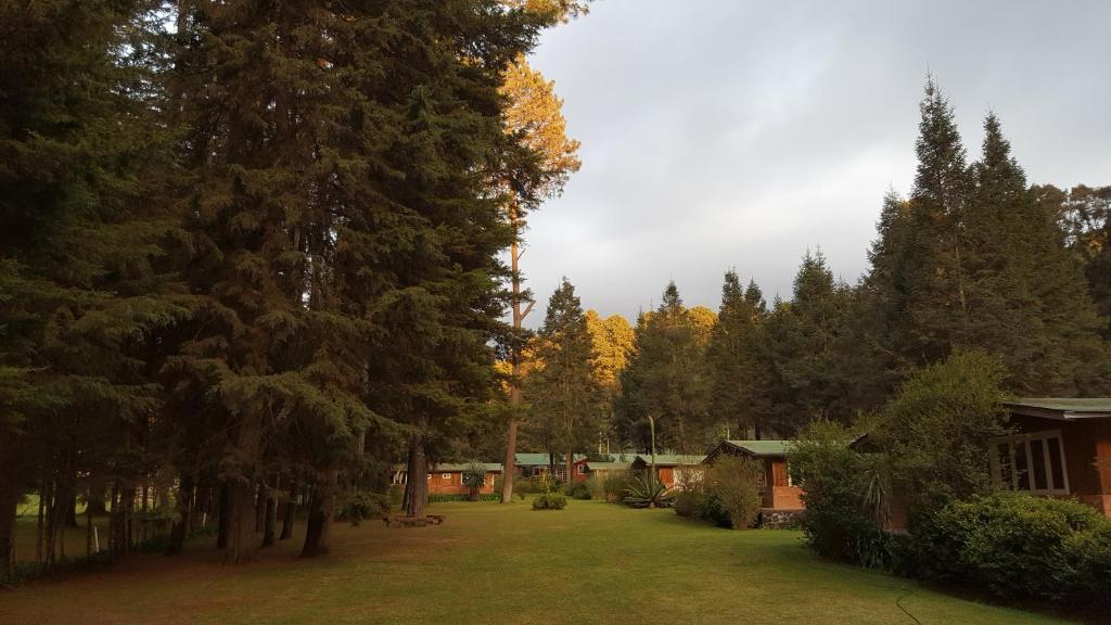 un patio con árboles y una casa al fondo en Rancho Viejo, en El Aguaje