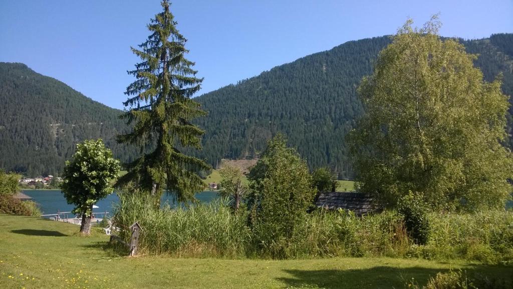 Príroda v okolí apartmánu