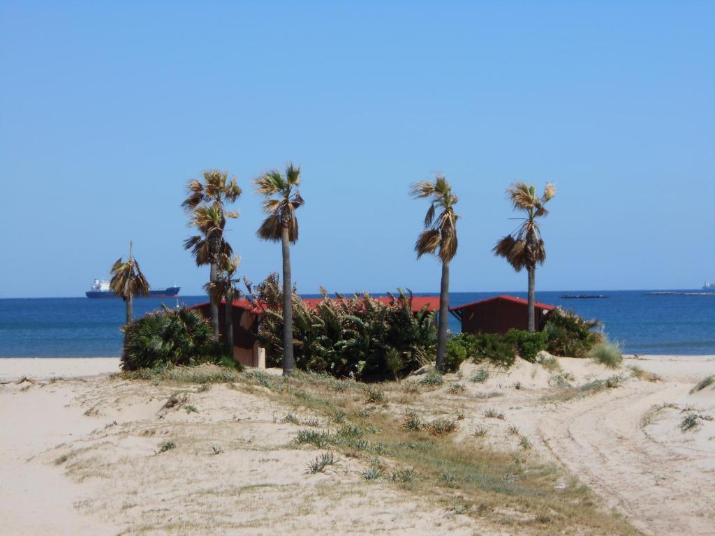 un camino de tierra en una playa con palmeras en Apartamento a la Playa, en Algeciras