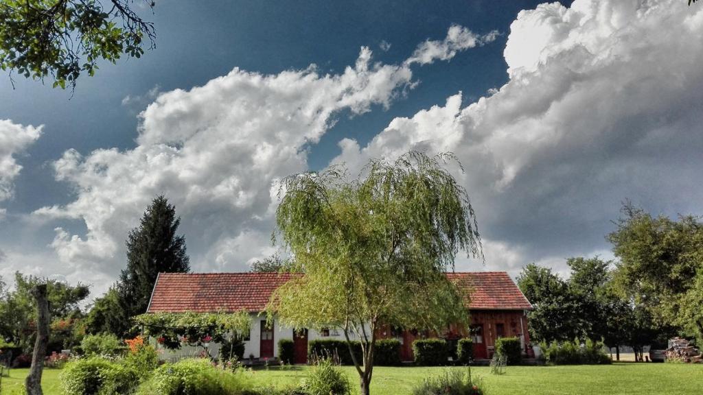 Cseri Porta في Szalafő: شجرة أمام منزل مع سماء غائمة
