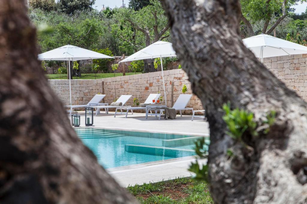 Bazén v ubytování Ottolire Resort nebo v jeho okolí