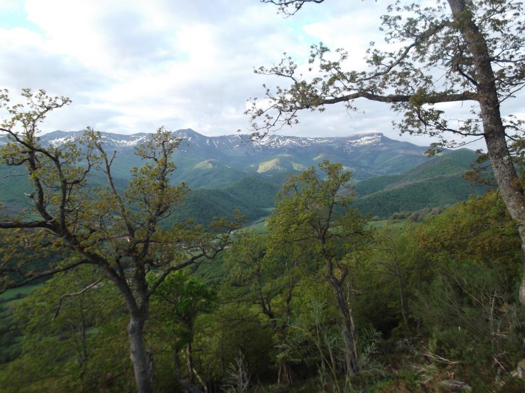 Príroda v okolí of the country house