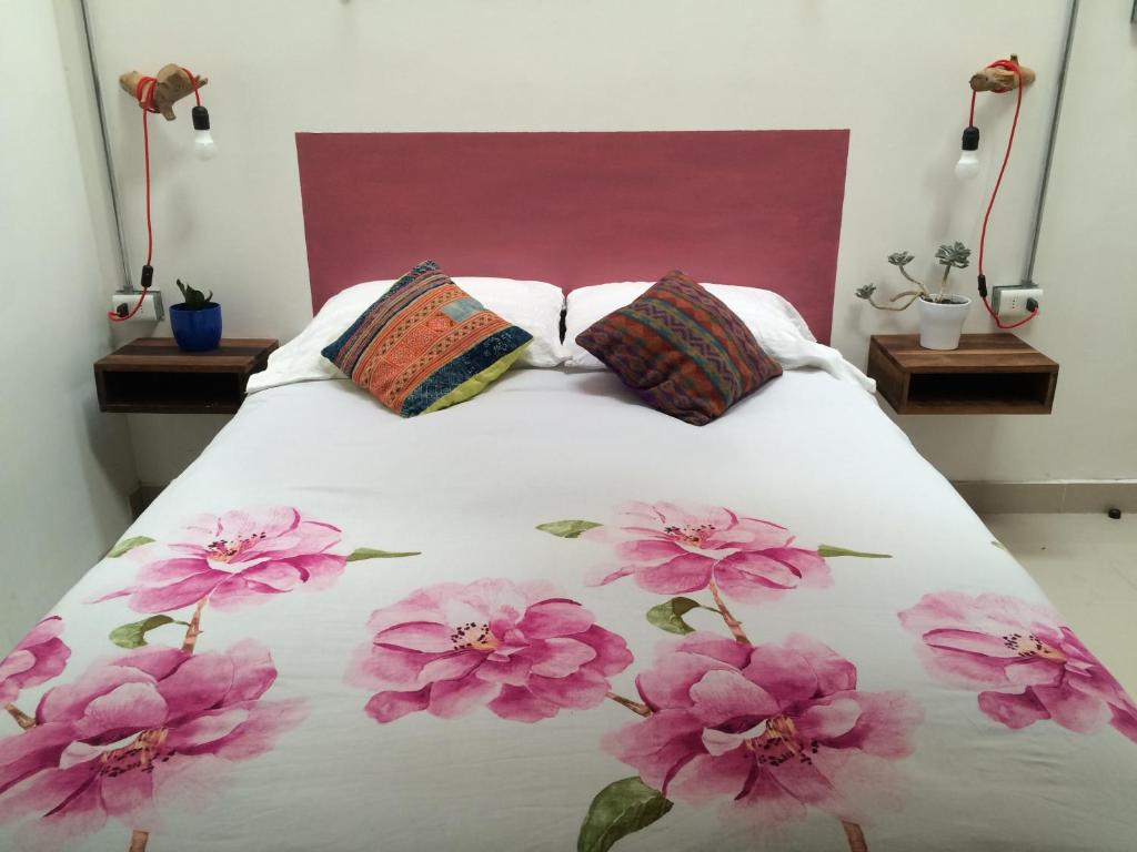 Loft Alpaca - Housity