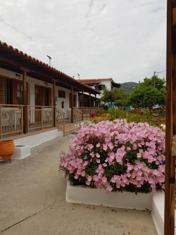 un planteur rempli de fleurs roses devant un bâtiment dans l'établissement Asimina's House, à Skiathos Chora